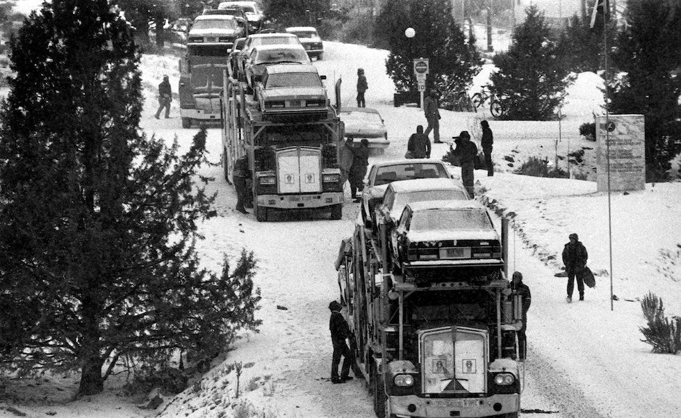 Some of the Rollys Royces from Rajneesh's collection | Via photos.oregonlive.com