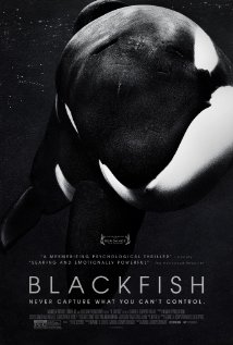 Blackfish Poster. Image Courtesy of imdb.com.