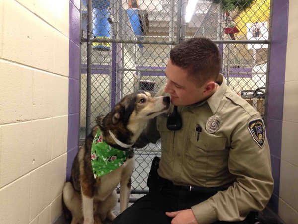 Dog says thanks and goodbye to animal control officer. Image Courtesy of @CuteAnimals_Pix