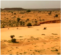 Drought lands in Niger. Image Courtesy of water.worldbank.org.