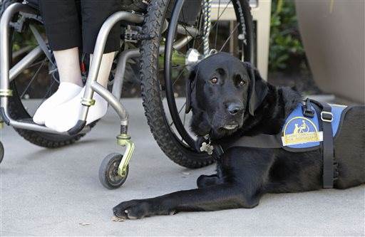 Wallis Brozman and his service dog Caspin in Santa Rosa, California. Image Courtesy of nbcnews.com